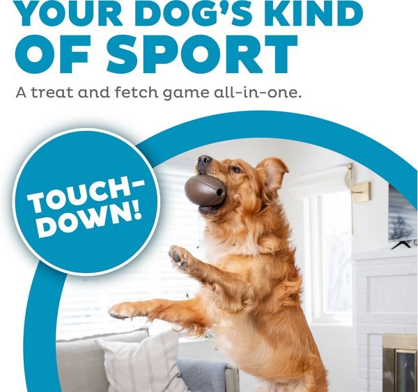 Outward Hound Sports Ballz Dog Toy
