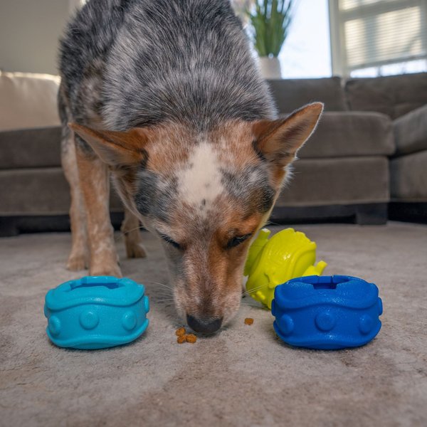 Outward Hound Treat Locking Discs Dispenser Puzzle Dog Toy, Multiple Colors