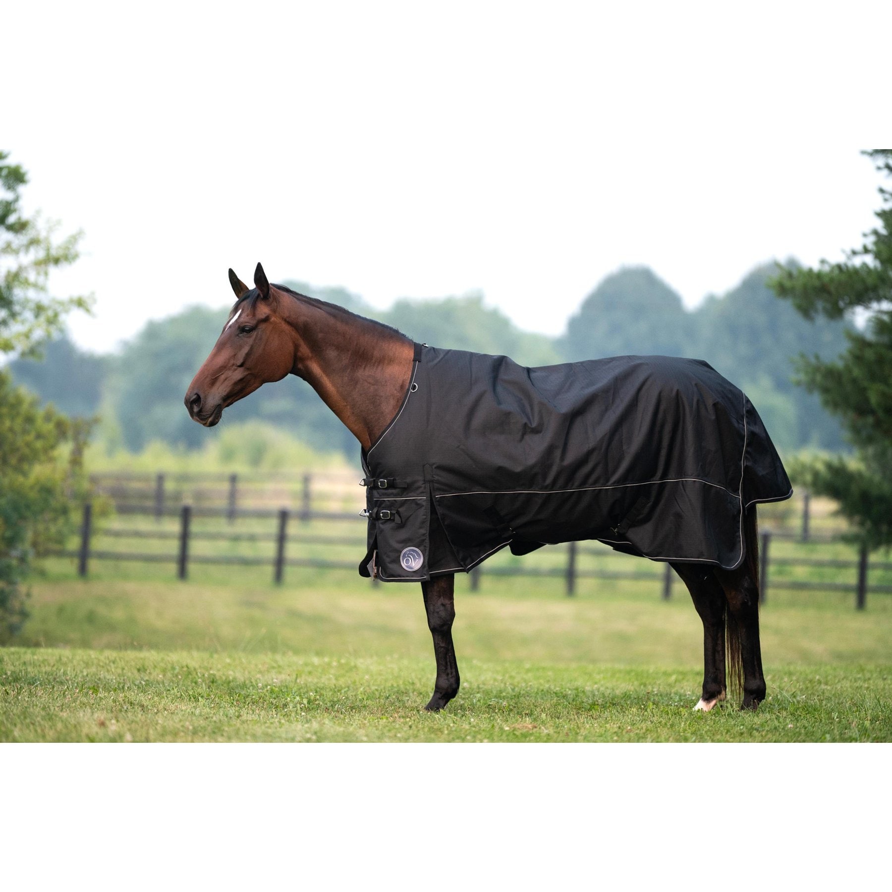 Ovation 1200D 300g Sequoia Horse Turnout Blanket, Black, 80