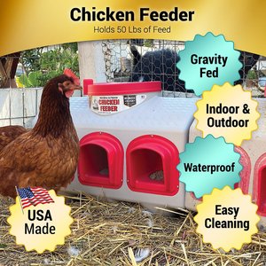 OverEZ Poultry Feeder, 50-lbs