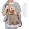 Show in main carousel: Ownpets 10-25-lbs. Sling Dog & Cat Carrier, Grey slide 1 of 9