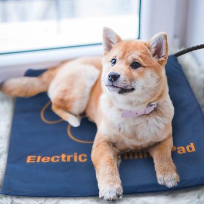 Show full view: Ownpets Electric Temperature Adjustable Dog & Cat Heating Pad, Blue, Large slide 6 of 9