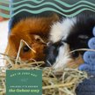 Show in main carousel: Oxbow Alfalfa Hay Small Animal Food, 15-oz bag slide 4 of 11