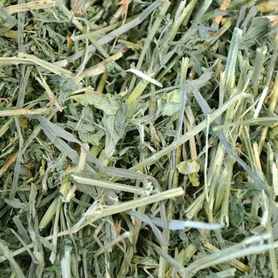 Show full view: Oxbow Alfalfa Hay Small Animal Food, 9-lb box slide 3 of 11