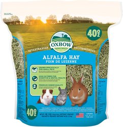 Oxbow Alfalfa Small-PET Food, 40-oz bag