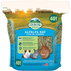 Oxbow Alfalfa Small-PET Food, 40-oz bag