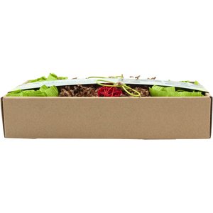Oxbow Animal Health Enriched Life Garden Dig Box Small Animal Toy