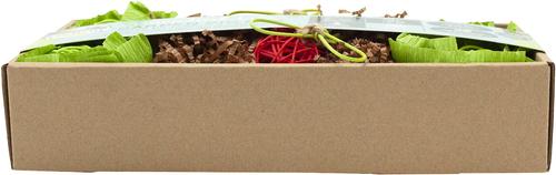 Show full view: Oxbow Animal Health Enriched Life Garden Dig Box Small Animal Toy slide 3 of 8
