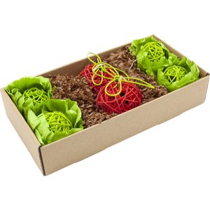 Oxbow Animal Health Enriched Life Garden Dig Box Small Animal Toy