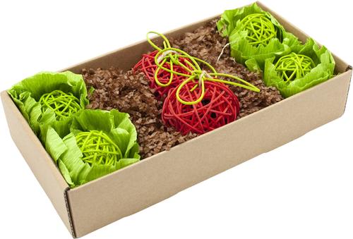 Show full view: Oxbow Animal Health Enriched Life Garden Dig Box Small Animal Toy slide 4 of 8