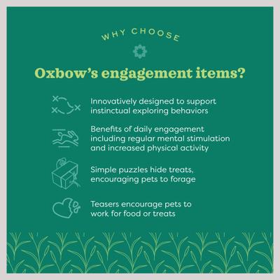 Show full view: Oxbow Animal Health Enriched Life Garden Dig Box Small Animal Toy slide 6 of 8