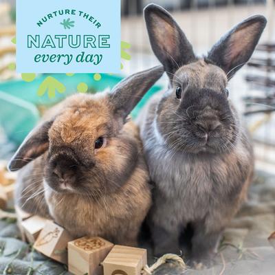 Show full view: Oxbow Animal Health Enriched Life Ox Blocks Small Animal Toy slide 4 of 5