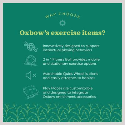 Show full view: Oxbow Animal Health Enriched Life Run & Hide Small Animal Toy, 10-in slide 5 of 7