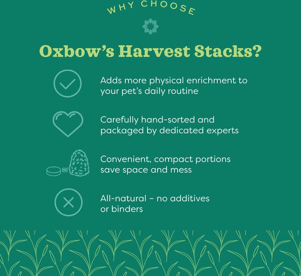 OXBOW Animal Health Harvest Hay Stacks Western Timothy Hay All Natural ...