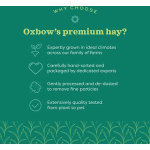 Oxbow Animal Health Oxbow Hay Blends Western Timothy & Orchard, 15-oz bag