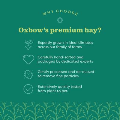 Show full view: Oxbow Animal Health Oxbow Hay Blends Western Timothy & Orchard, 15-oz bag slide 6 of 10