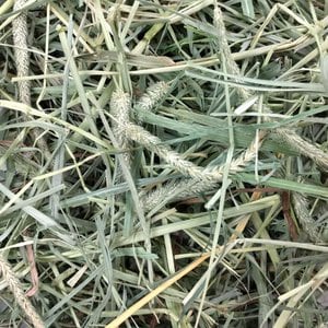 Oxbow Animal Health Oxbow Hay Blends Western Timothy & Orchard, 15-oz bag