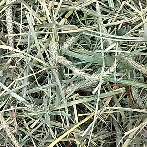 Oxbow Animal Health Oxbow Hay Blends Western Timothy & Orchard, 40-oz bag