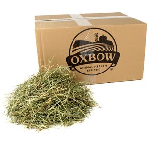 Oxbow Animal Health Western Timothy Hay All Natural Hay for Rabbits, Guinea Pigs, Chinchillas, Hamsters & Gerbils, 25-lb bag Bulk Size