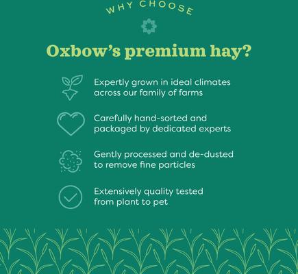 Show full view: Oxbow Animal Health Western Timothy Hay All Natural Hay for Rabbits, Guinea Pigs, Chinchillas, Hamsters & Gerbils, 40-oz. slide 8 of 12