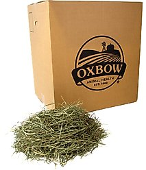 Oxbow Animal Health Western Timothy Hay All Natural Hay for Rabbits, Guinea Pigs, Chinchillas, Hamsters & Gerbils, 50-lb bag Bulk Size slide 1 of 9