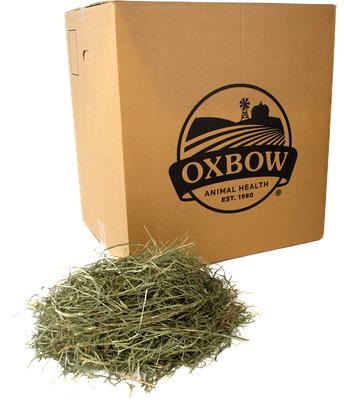 Show full view: Oxbow Animal Health Western Timothy Hay All Natural Hay for Rabbits, Guinea Pigs, Chinchillas, Hamsters & Gerbils, 50-lb bag Bulk Size slide 1 of 12