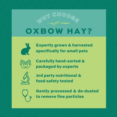 Show full view: Oxbow Animal Health Western Timothy Hay All Natural Hay for Rabbits, Guinea Pigs, Chinchillas, Hamsters & Gerbils, 90-oz. slide 9 of 12
