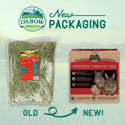 Show full view: Oxbow Animal Health Western Timothy Hay All Natural Hay for Rabbits, Guinea Pigs, Chinchillas, Hamsters & Gerbils + Pure Comfort Small Animal Bedding, White slide 4 of 9