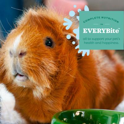 Show full view: Oxbow Animal Healthy Essentials Natural Pellets Senior Guinea Pig Food, 8-lb bag slide 6 of 10