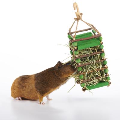 Show full view: Oxbow Apple Stick Hay Small Animal Feeder slide 5 of 10