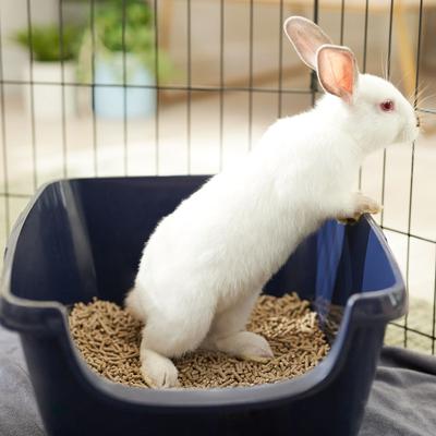 Show full view: Oxbow Bene Terra Eco-Straw Pelleted Wheat Straw Small Animal Litter, 20-lb bag, bundle of 2 slide 2 of 6