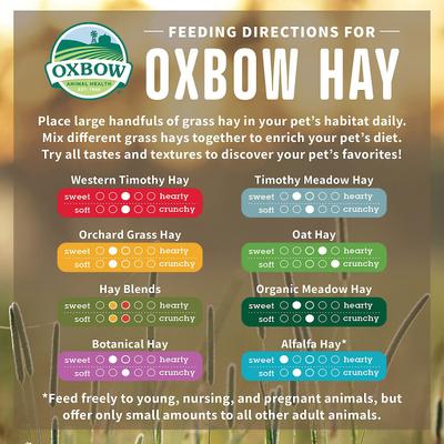 Show full view: Oxbow Botanical Hay + Oat Hay Small Animal Food slide 9 of 10
