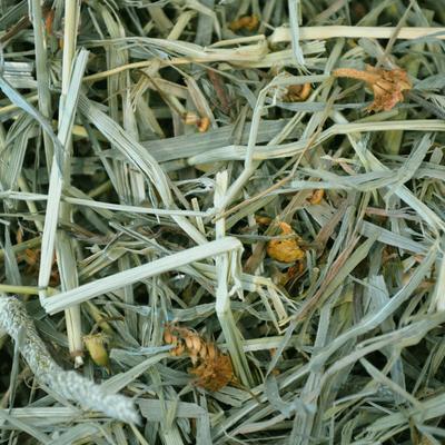 Show full view: Oxbow Botanical Hay Small Animal Food, 15-oz bag slide 3 of 11