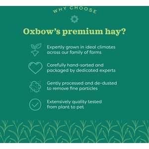 Oxbow Botanical Hay Small Animal Food, 15-oz bag