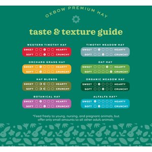 Oxbow Botanical Hay Small Animal Food, 15-oz bag