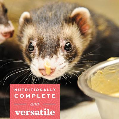 Show full view: Oxbow Critical Care Carnivore Small-Pet Supplement, 340-gm bag slide 4 of 7