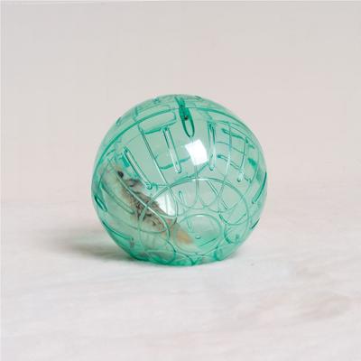 Show full view: Oxbow Enriched Life 2 in 1 Fitness Ball Small Animal Toy slide 6 of 9