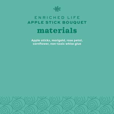 Show full view: Oxbow Enriched Life Apple Stick Bouquet Small Animal Toy slide 7 of 10