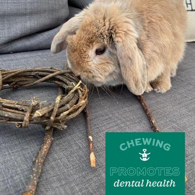 Show full view: Oxbow Enriched Life Apple Stick Bouquet Small Animal Toy slide 9 of 10