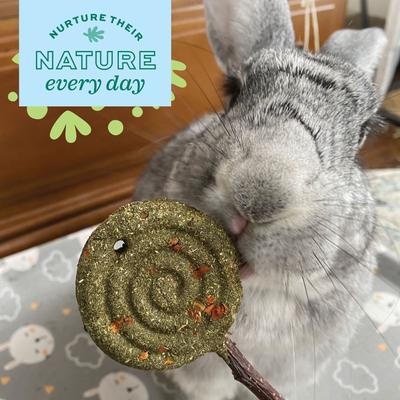 Show full view: Oxbow Enriched Life Apple Timothy Lollipop Small Pet Chew Toy slide 4 of 10