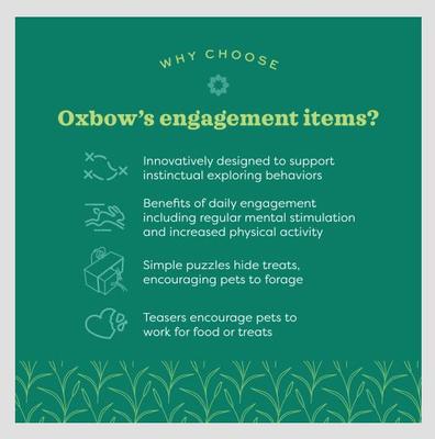 Show full view: Oxbow Enriched Life Apple Twig Tree Small Pet Toy slide 7 of 9