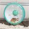 Show in main carousel: Oxbow Enriched Life Attachable Quiet Wheel Small Animal Toy slide 8 of 9