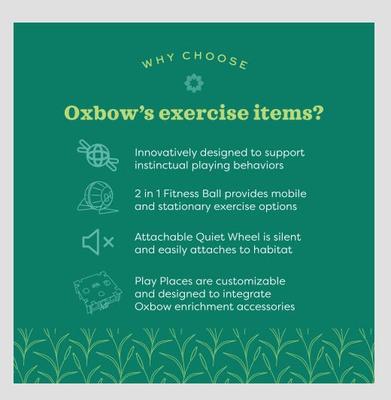 Show full view: Oxbow Enriched Life Bamboo Ball Pit Small Pet Toy slide 5 of 7