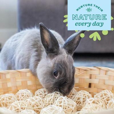 Show full view: Oxbow Enriched Life Bamboo Ball Pit Small Pet Toy slide 6 of 7