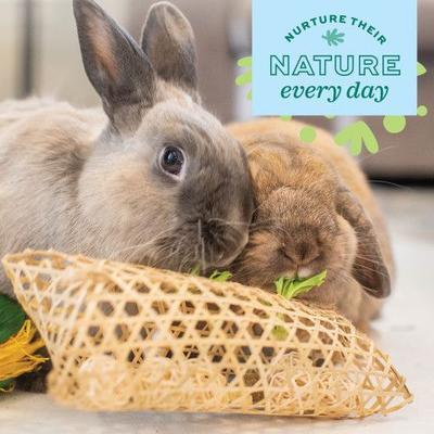 Show full view: Oxbow Enriched Life Bamboo Play Pouch Small Pet Toy slide 6 of 6