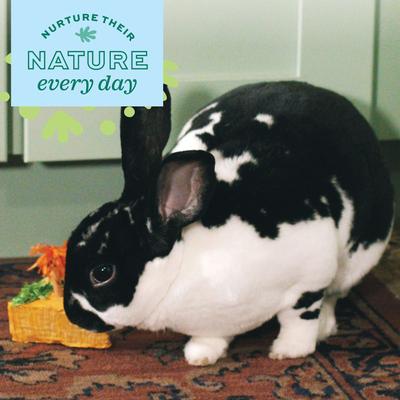 Show full view: Oxbow Enriched Life Celebration Cake Small Animal Toy slide 4 of 10