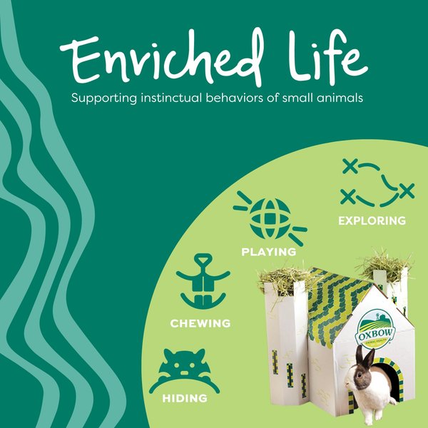 Show full view: Oxbow Enriched Life Celebration Cake Small Animal Toy slide 5 of 10