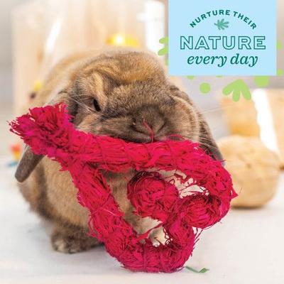 Show full view: Oxbow Enriched Life Celebration Heart Small Pet Toy slide 6 of 6