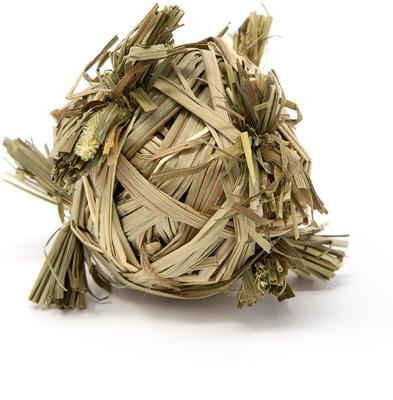 Show full view: Oxbow Enriched Life Crazy Hay Ball Small Animal Toy slide 3 of 10