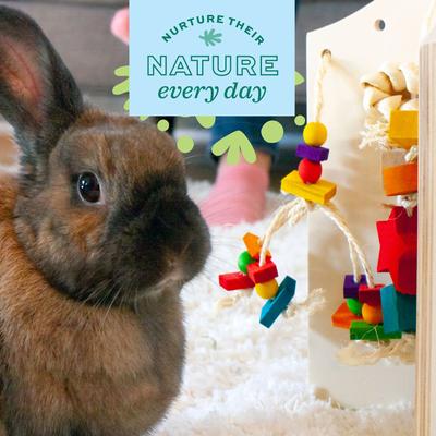 Show full view: Oxbow Enriched Life Deluxe Color Dangly Small Animal Toy slide 5 of 10